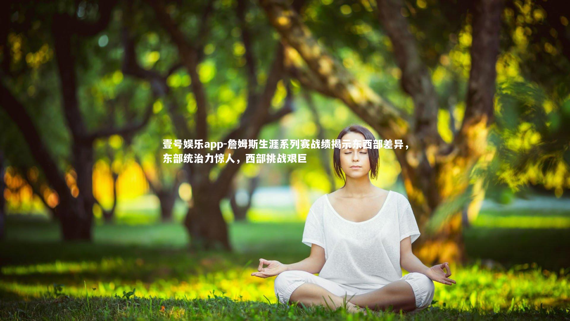 詹姆斯生涯系列赛战绩揭示东西部差异，东部统治力惊人，西部挑战艰巨